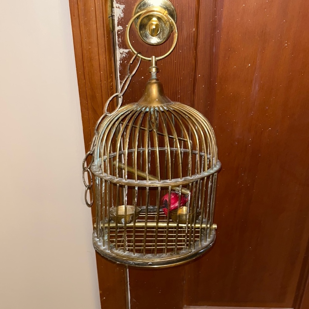 Very rare bird cafe with original birds in it